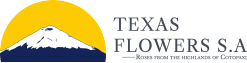 Texas Flowers